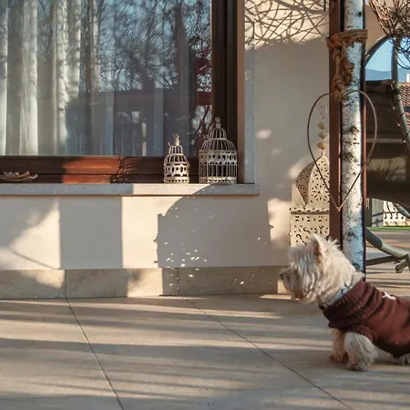 Welcome Traveller Frida's Appartamento Caprino Veronese