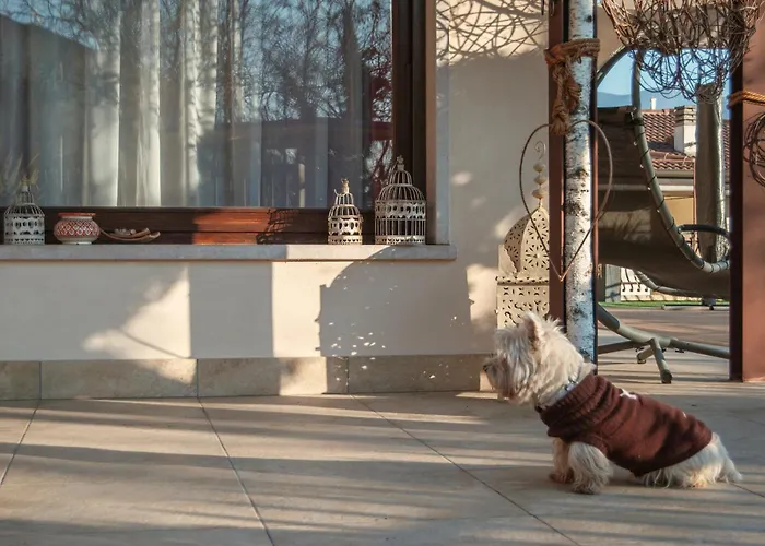 Welcome Traveller Frida's Appartamento Caprino Veronese