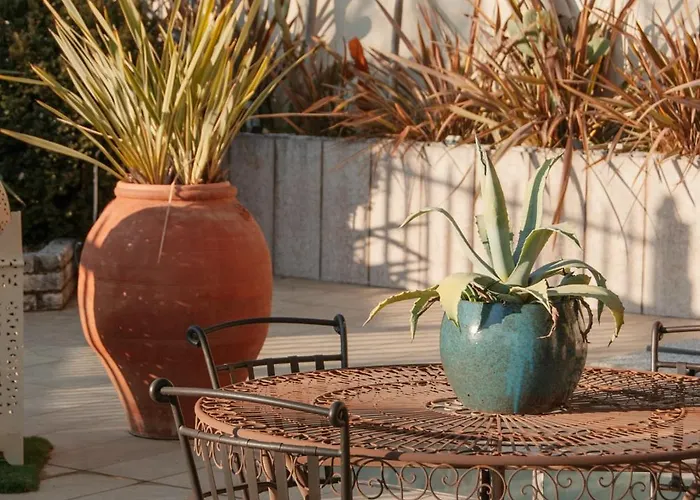 Welcome Traveller Frida's *